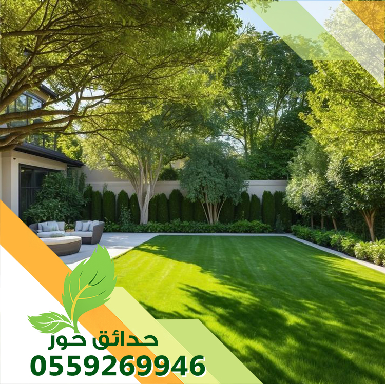 شركة تنسيق حدائق بالخرج 0559269946 تصميم وتنفيذ حدائق فاخرة شركة تنسيق حدائق بالخرج 0559269946 تصميم وتنفيذ حدائق فاخرة