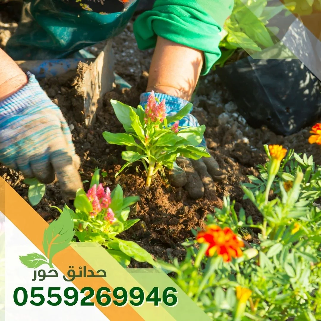 شركة تنسيق حدائق بالدمام