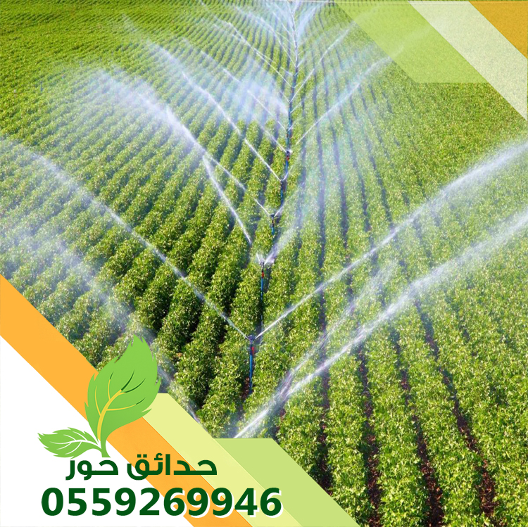 تركيب شبكات الري بالقصيم