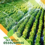 تركيب شبكات الري بالخرج