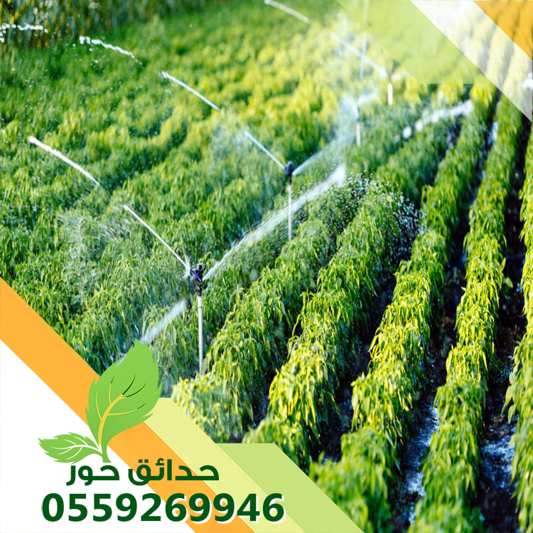 تركيب شبكات الري بالخرج