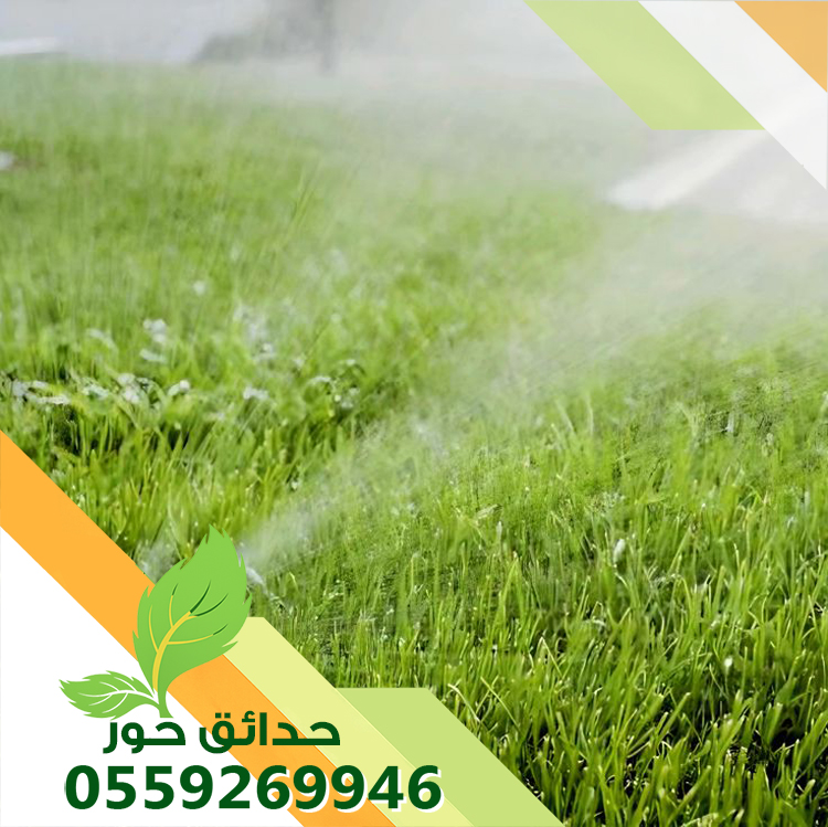 شركة حدائق حور 0559269946