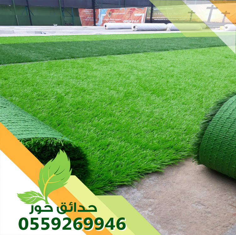 العشب الطبيعي والصناعي مع شركة حدائق حور بالمملكة العربية السعودية شركة حدائق حور 0559269946