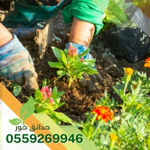 تنسيق حدائق بالدمام