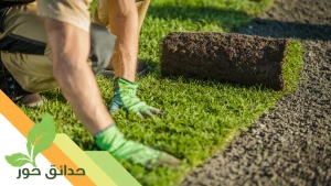 شركة تركيب ثيل طبيعي بالرياض