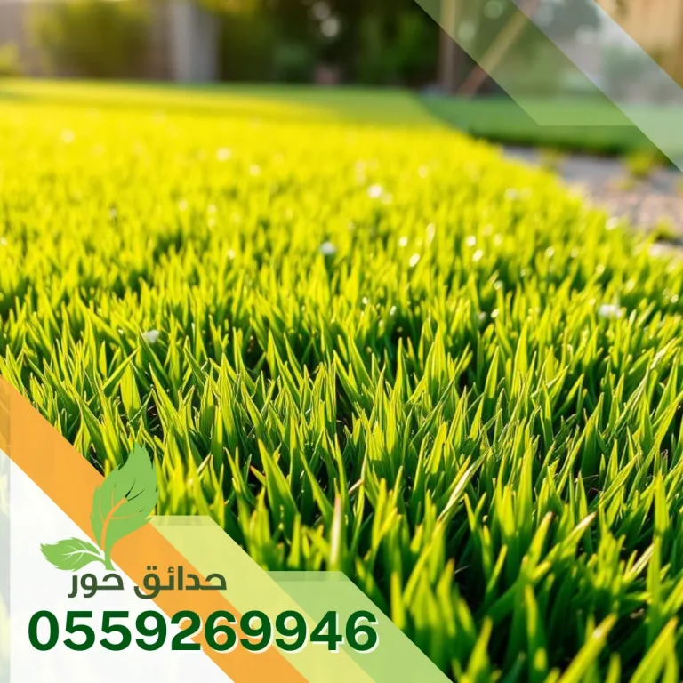 شركة تركيب ثيل طبيعي بالمزاحمية