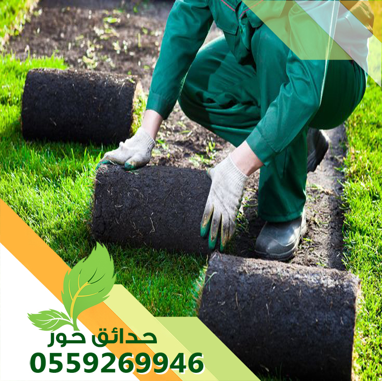 تركيب ثيل طبيعي بالدمام 0559269946