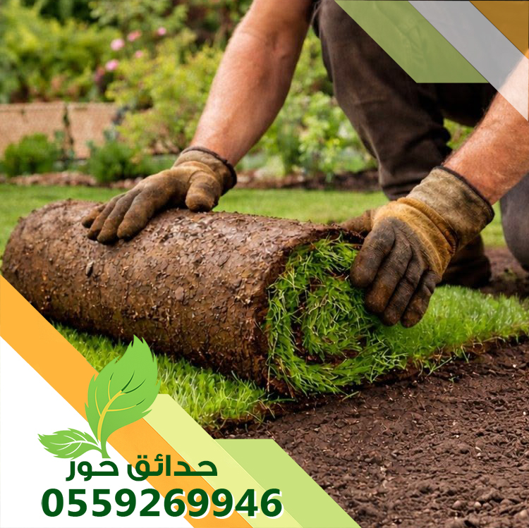 تركيب ثيل طبيعي بالدمام 0559269946