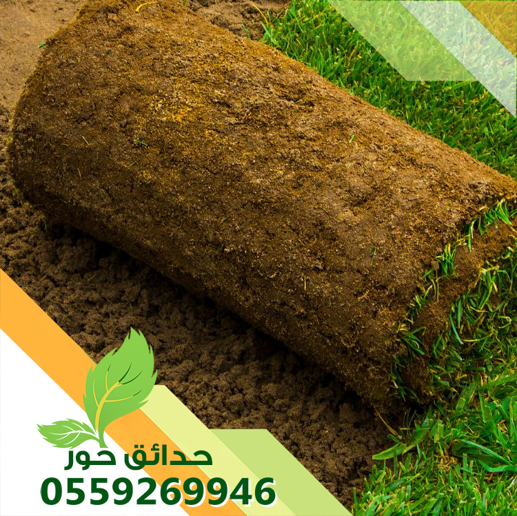 تركيب ثيل طبيعي بالدمام 0559269946