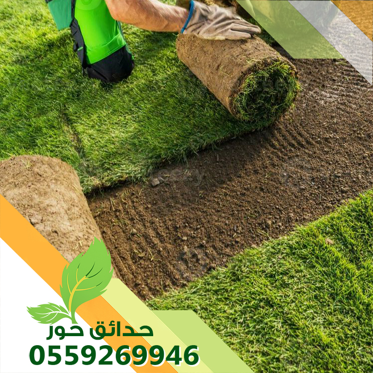 تركيب ثيل طبيعي بالقصيم وبالرياض 0559269946