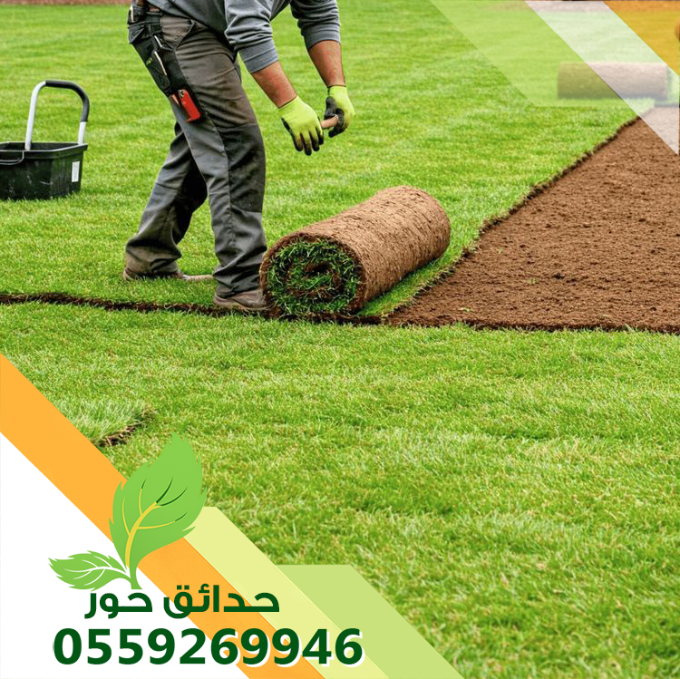 تركيب ثيل طبيعي بالقصيم وبالرياض 0559269946