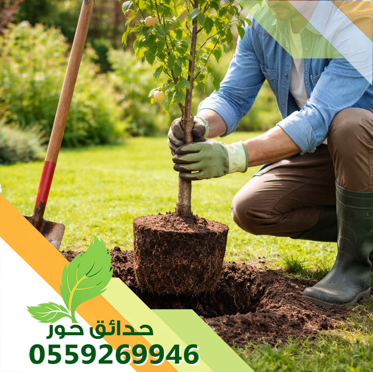 رقم واحد في مجال تنسيق الحدائق والبساتين 0536741924 شركة حدائق حور
