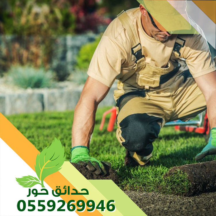رقم واحد في مجال تنسيق الحدائق والبساتين 0559269946 شركة حدائق حور رقم واحد في مجال تنسيق الحدائق والبساتين 0559269946 شركة حدائق حور