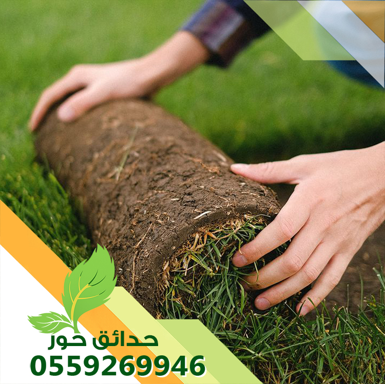 رقم واحد في مجال تنسيق الحدائق والبساتين 0559269946 شركة حدائق حور رقم واحد في مجال تنسيق الحدائق والبساتين 0559269946 شركة حدائق حور