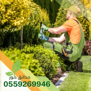شركة تنسيق حدائق شقراء