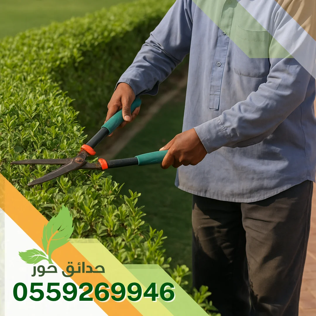 صيانة حدائق بالخرج