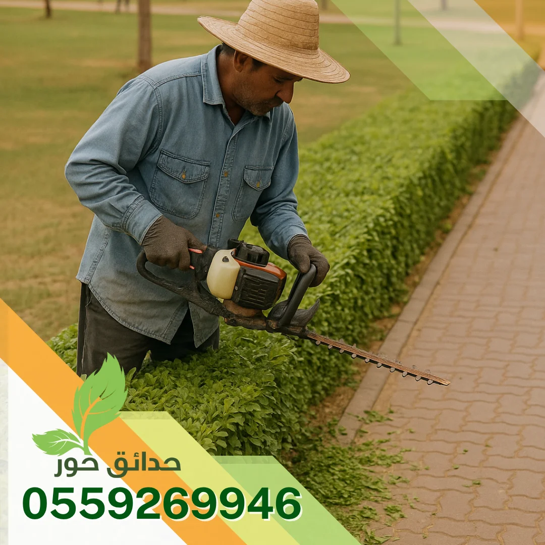 صيانة حدائق بالخرج