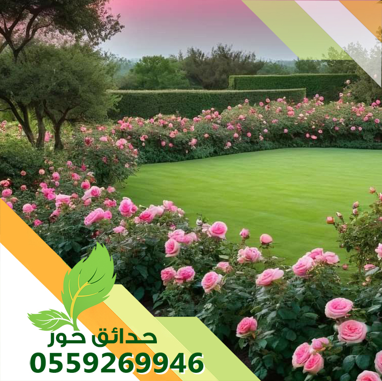 تنسيق حدائق شمال الرياض تنسيق حدائق شمال الرياض
