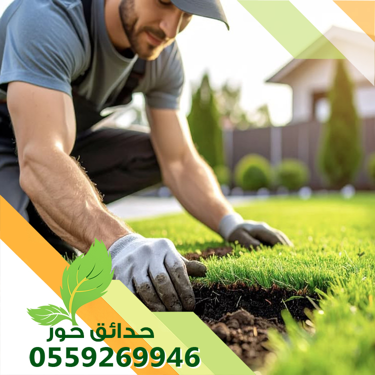 صيانة حدائق بالمزاحمية 0559269946