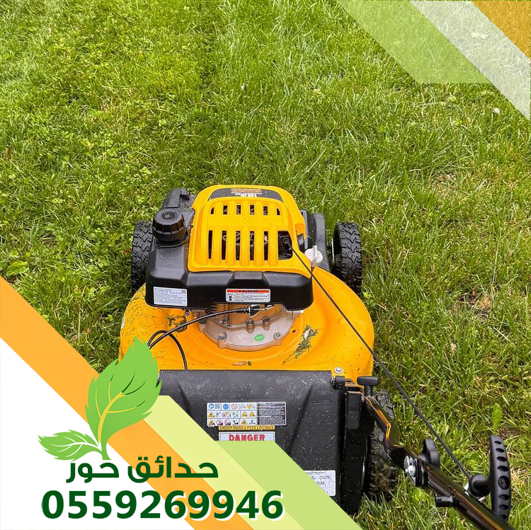 صيانة حدائق بالرياض 0559269946 | أفضل شركة تنسيق وري حدائق بأسعار مميزة