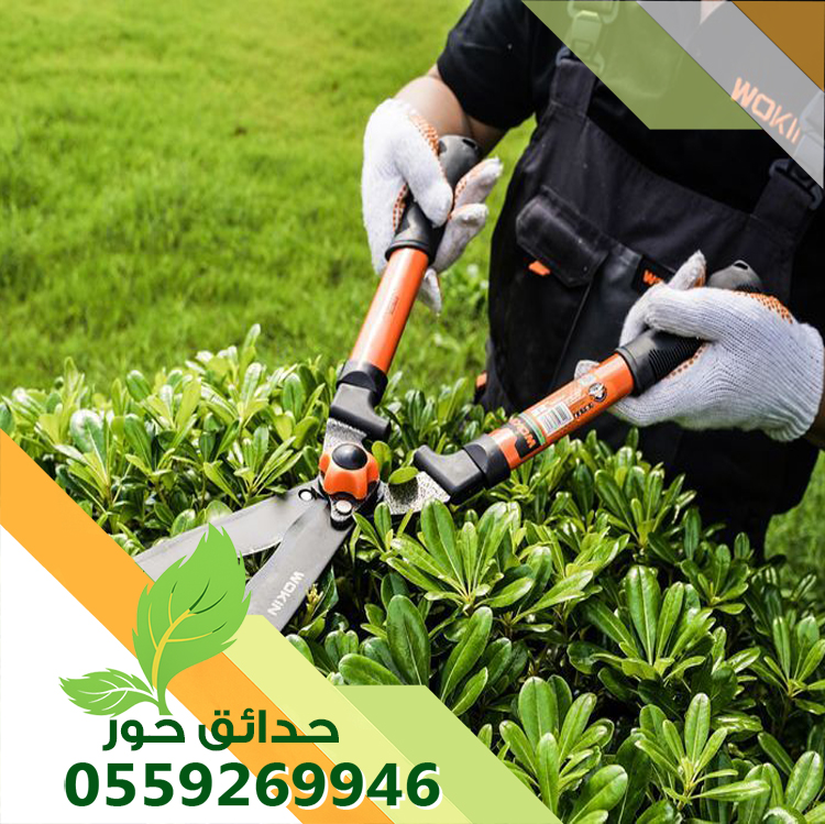 صيانة حدائق بالرياض 0559269946 | أفضل شركة تنسيق وري حدائق بأسعار مميزة