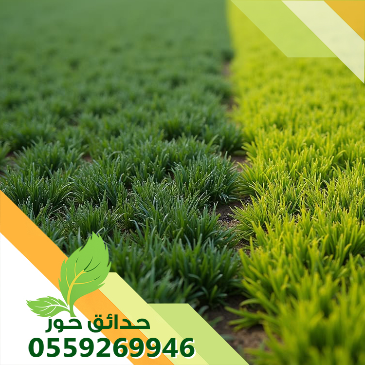 تركيب ثيل صناعي بالرياض 0559269946 | أفضل شركة تنسيق حدائق بالرياض