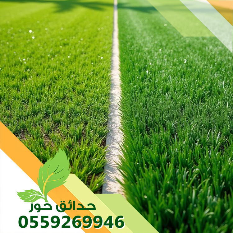 صيانة حدائق بالمزاحمية 0559269946