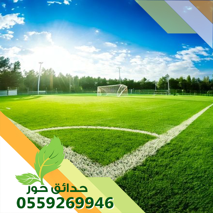 شركة تجهيز ملاعب بالرياض