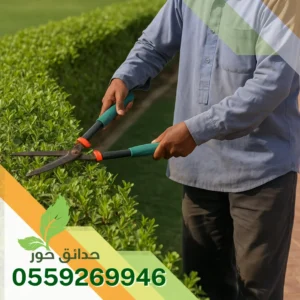 شركة صيانة حدائق بالخرج