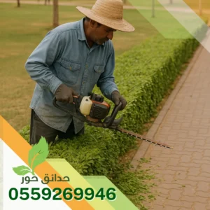 صيانة الحدائق في الخرج