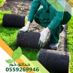 شركة حدائق حور 0559269946