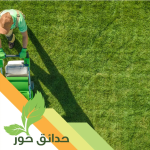 حدائق الحور