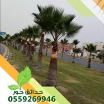 شركة حدائق حور 0559269946