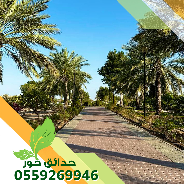 شركة تكريب النخيل بالرياض 0559269946 | شركة حدائق حور 0559269946