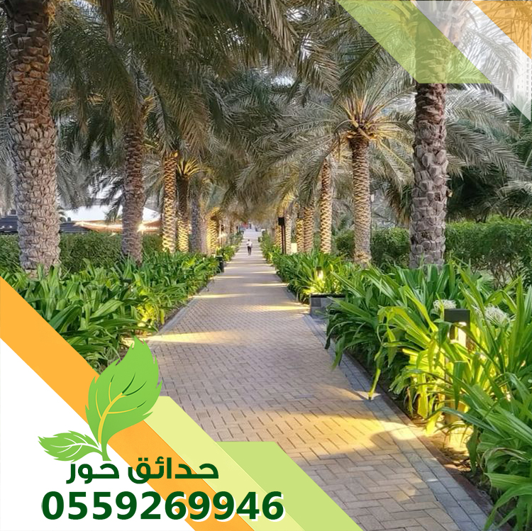 شركة تكريب النخيل بالرياض شركة تكريب النخيل بالرياض