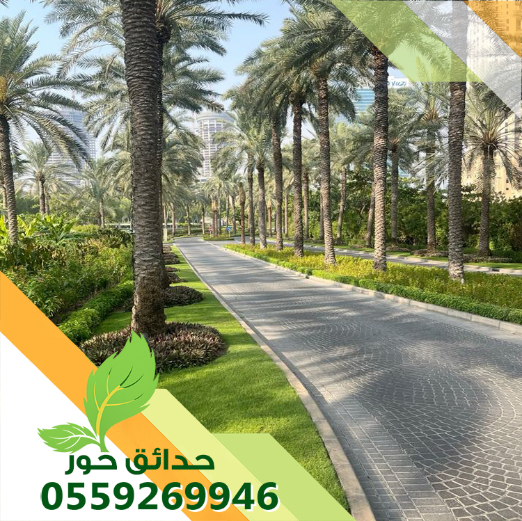 شركة تكريب النخيل بالرياض شركة تكريب النخيل بالرياض