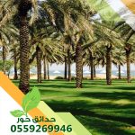 تكريب نخل واشنطونيا وعربي بالرياض