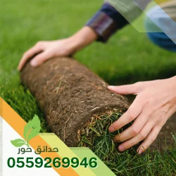 تركيب ثيل طبيعي بالدمام 0559269946